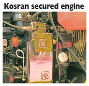 Kosran plant security